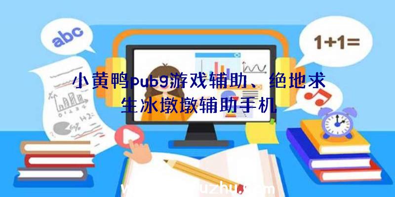 小黄鸭pubg游戏辅助、绝地求生冰墩墩辅助手机