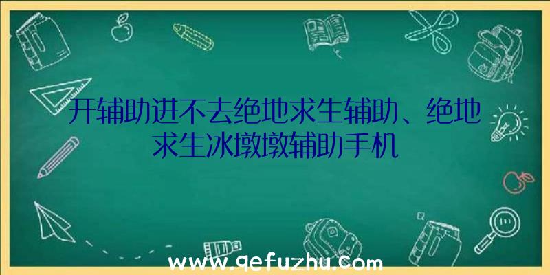 开辅助进不去绝地求生辅助、绝地求生冰墩墩辅助手机