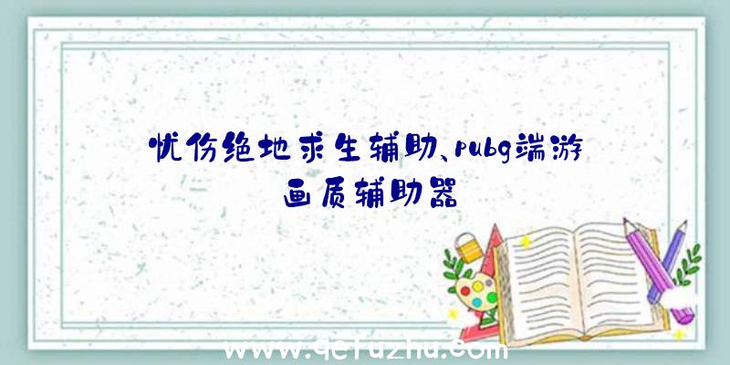 忧伤绝地求生辅助、pubg端游画质辅助器