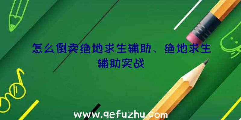 怎么倒卖绝地求生辅助、绝地求生辅助实战