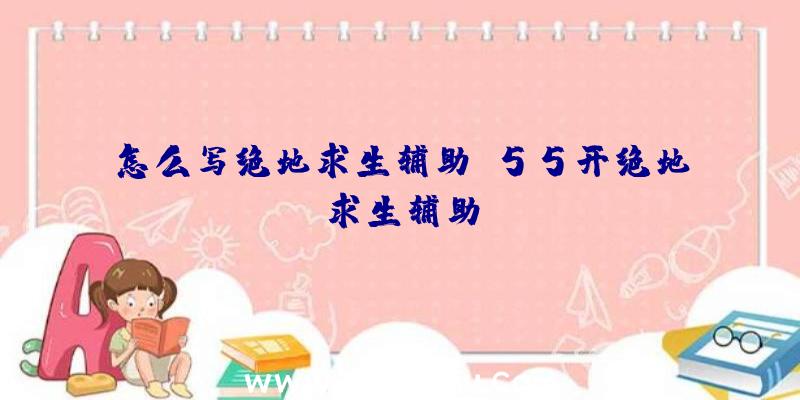 怎么写绝地求生辅助、55开绝地求生辅助