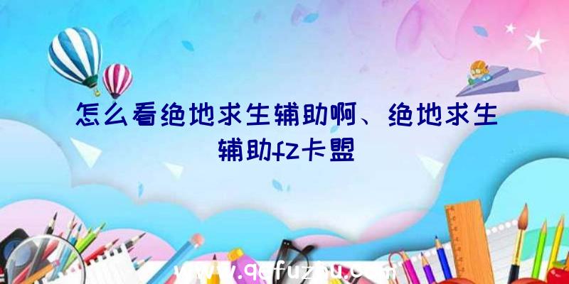 怎么看绝地求生辅助啊、绝地求生辅助fz卡盟