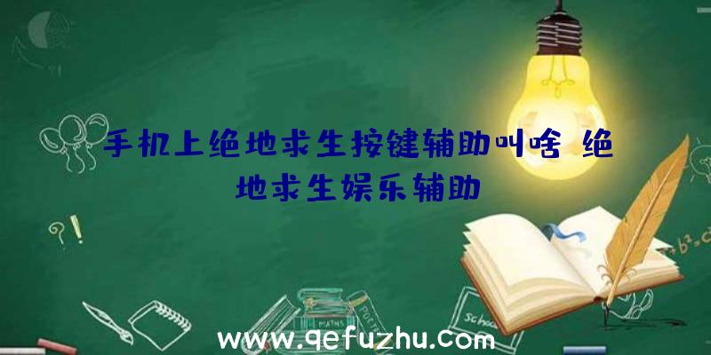 手机上绝地求生按键辅助叫啥、绝地求生娱乐辅助