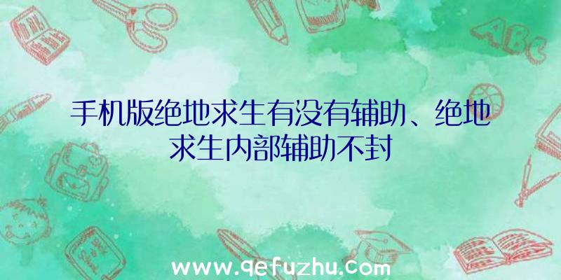 手机版绝地求生有没有辅助、绝地求生内部辅助不封