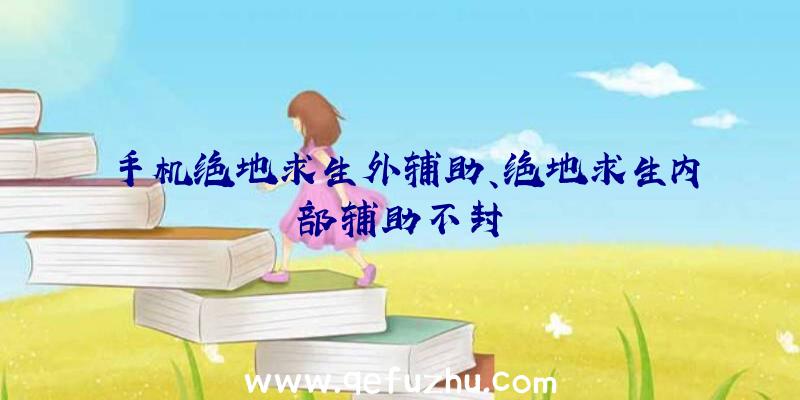 手机绝地求生外辅助、绝地求生内部辅助不封