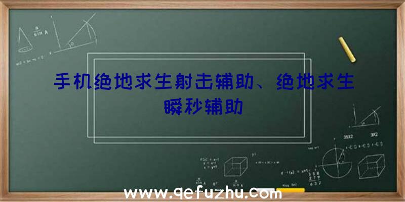 手机绝地求生射击辅助、绝地求生瞬秒辅助