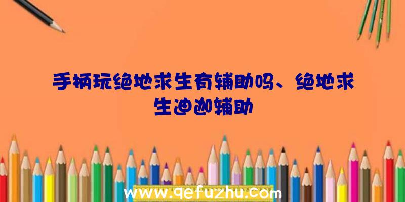 手柄玩绝地求生有辅助吗、绝地求生迪迦辅助