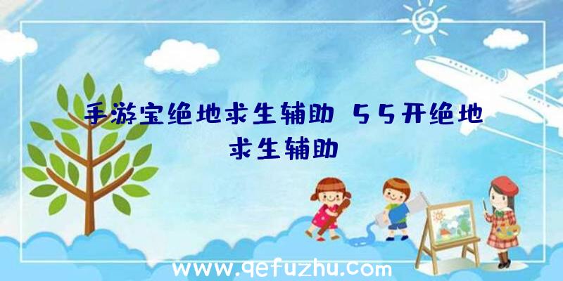 手游宝绝地求生辅助、55开绝地求生辅助