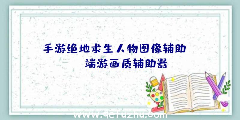 手游绝地求生人物图像辅助、pubg端游画质辅助器