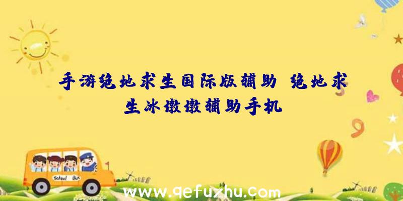 手游绝地求生国际版辅助、绝地求生冰墩墩辅助手机