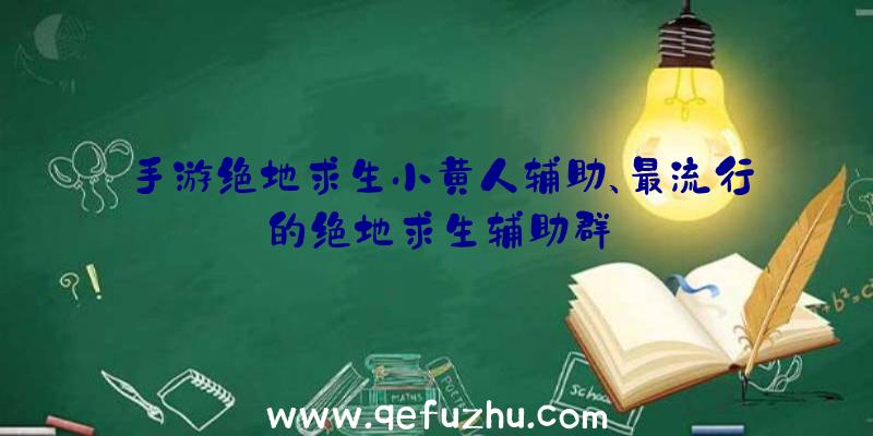 手游绝地求生小黄人辅助、最流行的绝地求生辅助群