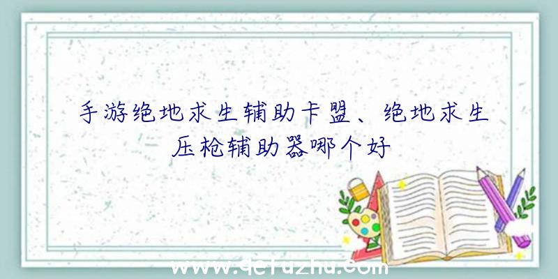 手游绝地求生辅助卡盟、绝地求生压枪辅助器哪个好