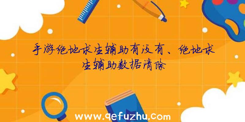 手游绝地求生辅助有没有、绝地求生辅助数据清除