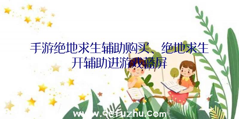 手游绝地求生辅助购买、绝地求生开辅助进游戏蓝屏