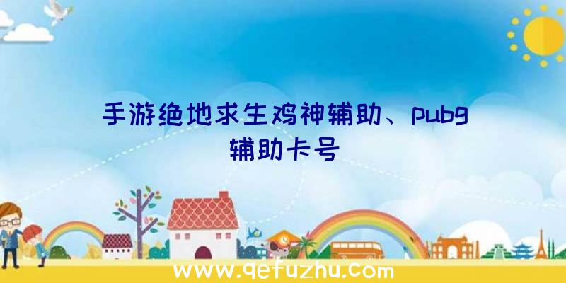 手游绝地求生鸡神辅助、pubg辅助卡号