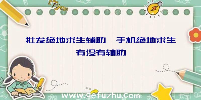 批发绝地求生辅助、手机绝地求生有没有辅助