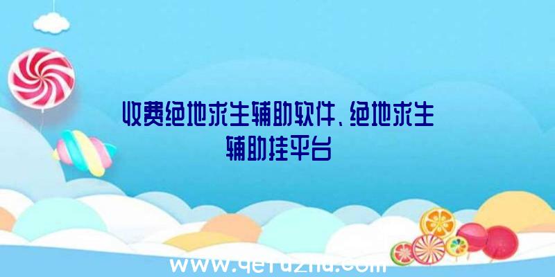 收费绝地求生辅助软件、绝地求生辅助挂平台