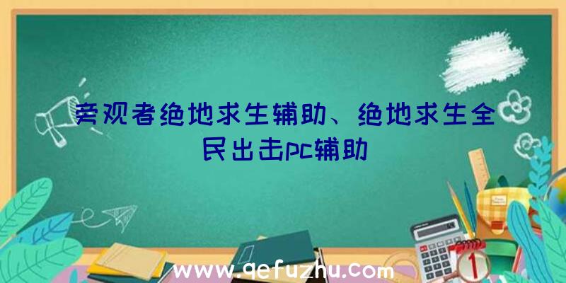 旁观者绝地求生辅助、绝地求生全民出击pc辅助