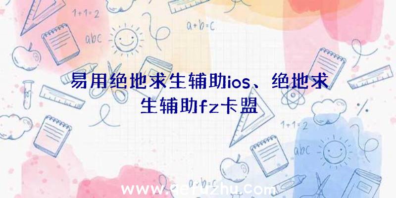 易用绝地求生辅助ios、绝地求生辅助fz卡盟