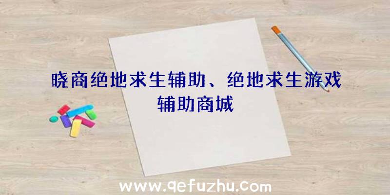 晓商绝地求生辅助、绝地求生游戏辅助商城