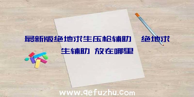 最新版绝地求生压枪辅助、绝地求生辅助