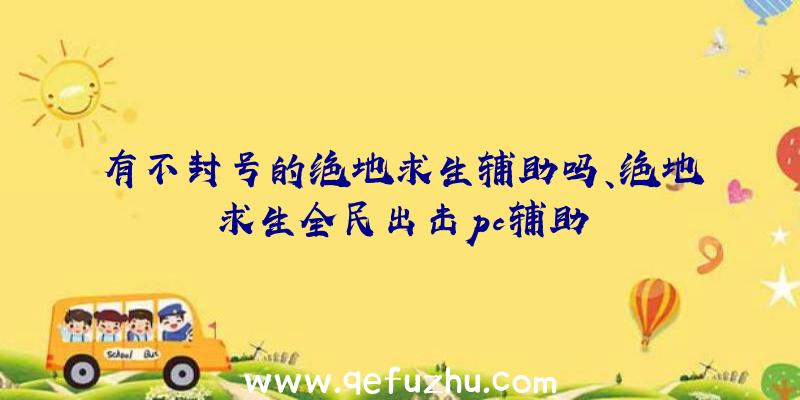 有不封号的绝地求生辅助吗、绝地求生全民出击pc辅助