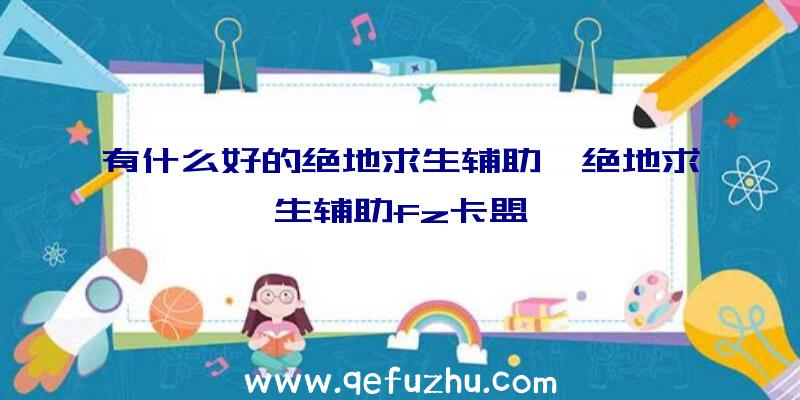 有什么好的绝地求生辅助、绝地求生辅助fz卡盟