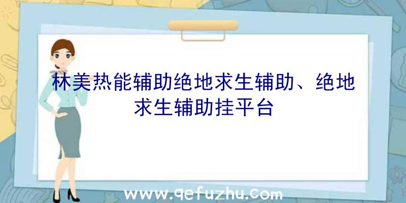 林美热能辅助绝地求生辅助、绝地求生辅助挂平台