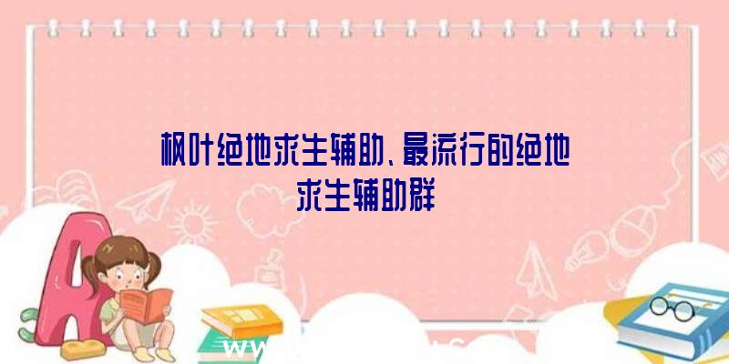 枫叶绝地求生辅助、最流行的绝地求生辅助群