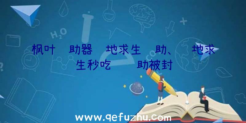 枫叶辅助器绝地求生辅助、绝地求生秒吃药辅助被封