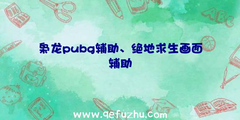 枭龙pubg辅助、绝地求生画面辅助