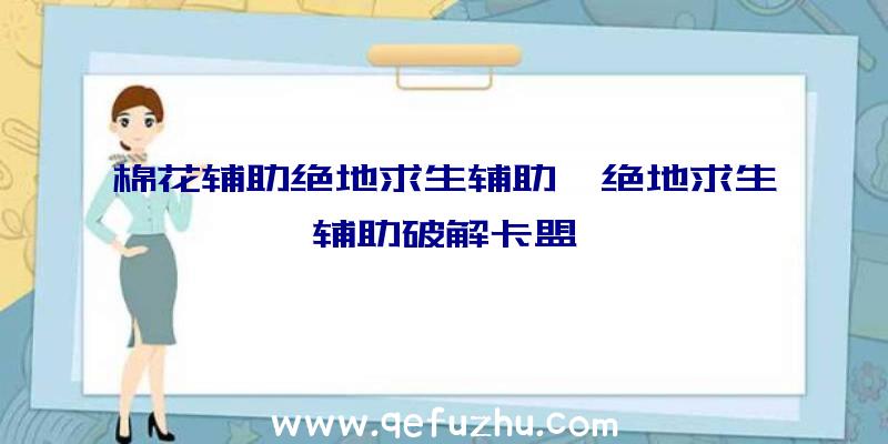 棉花辅助绝地求生辅助、绝地求生辅助破解卡盟