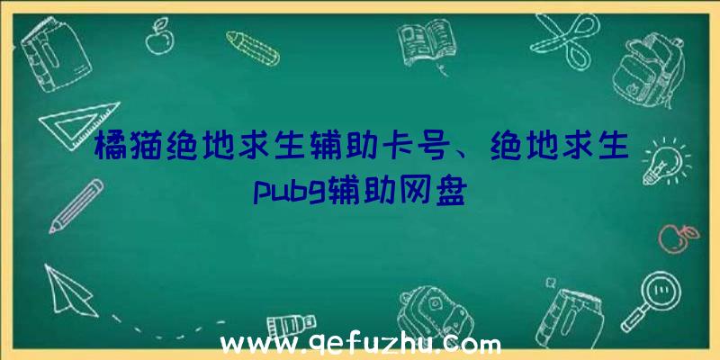 橘猫绝地求生辅助卡号、绝地求生pubg辅助网盘