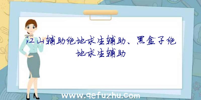 江山辅助绝地求生辅助、黑盒子绝地求生辅助