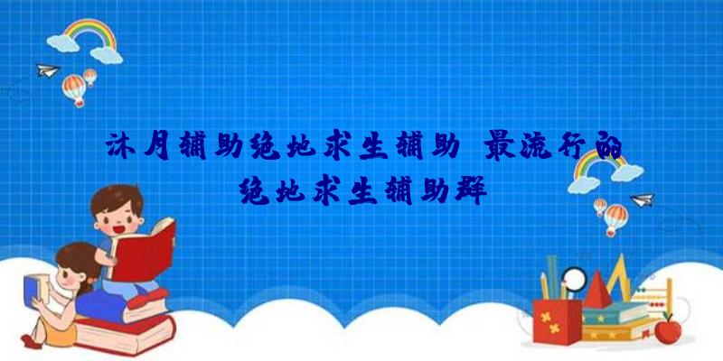 沐月辅助绝地求生辅助、最流行的绝地求生辅助群