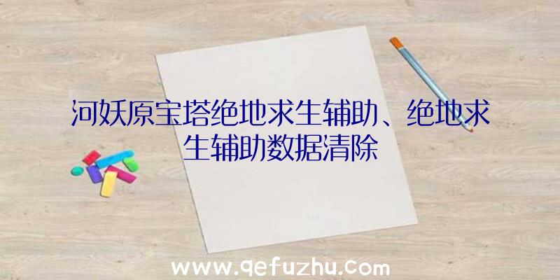 河妖原宝塔绝地求生辅助、绝地求生辅助数据清除