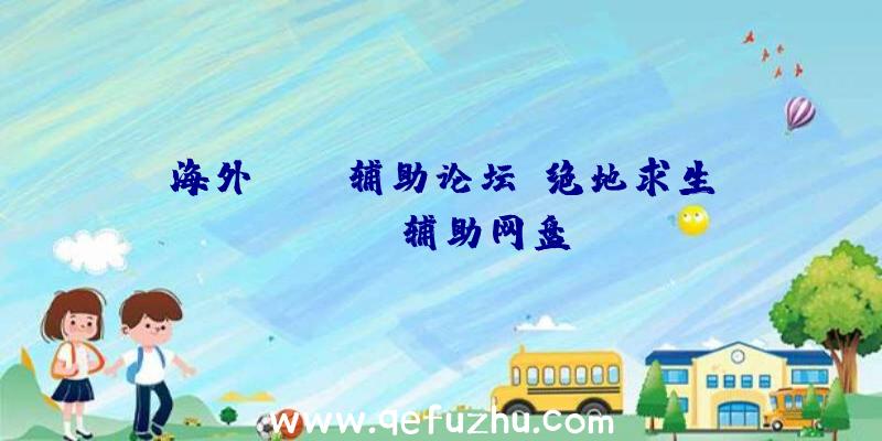 海外pubg辅助论坛、绝地求生pubg辅助网盘