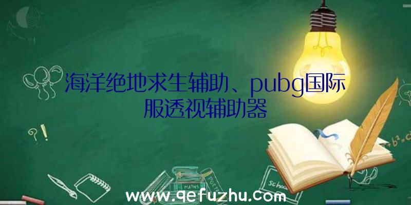 海洋绝地求生辅助、pubg国际服透视辅助器