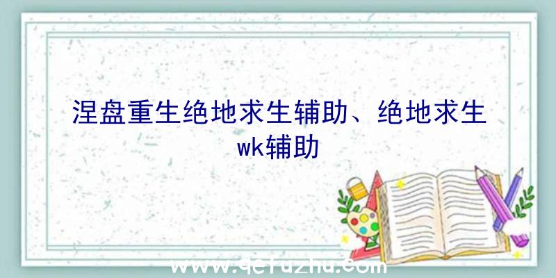 涅盘重生绝地求生辅助、绝地求生wk辅助