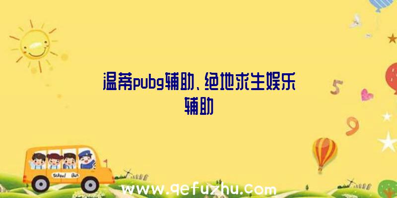 温蒂pubg辅助、绝地求生娱乐辅助