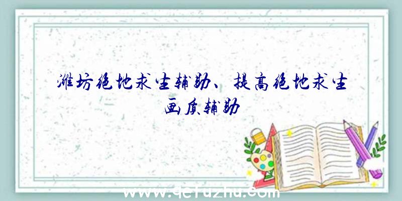 潍坊绝地求生辅助、提高绝地求生画质辅助