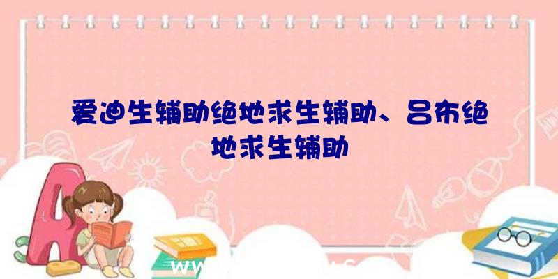 爱迪生辅助绝地求生辅助、吕布绝地求生辅助