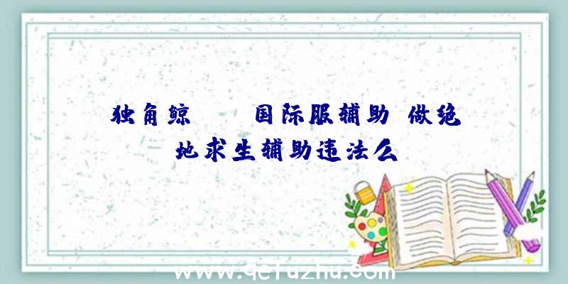 独角鲸pubg国际服辅助、做绝地求生辅助违法么