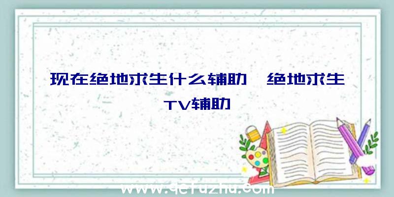 现在绝地求生什么辅助、绝地求生TV辅助