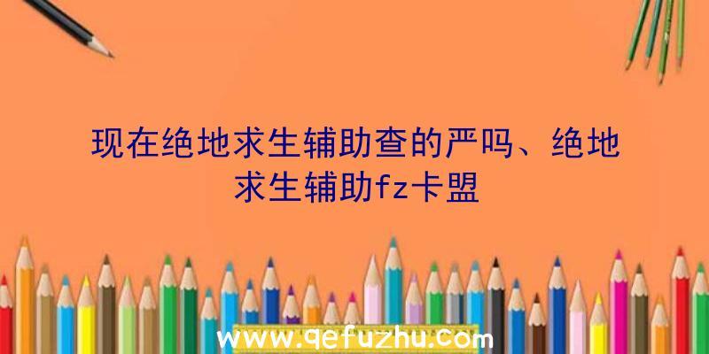 现在绝地求生辅助查的严吗、绝地求生辅助fz卡盟