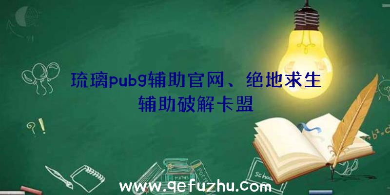 琉璃pubg辅助官网、绝地求生辅助破解卡盟