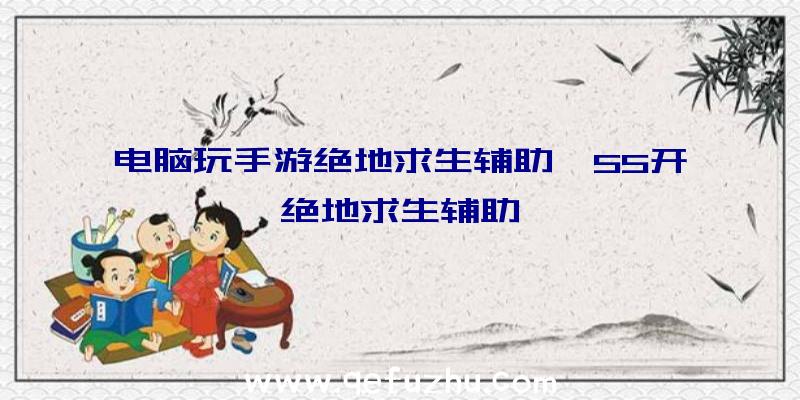 电脑玩手游绝地求生辅助、55开绝地求生辅助