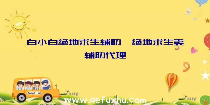 白小白绝地求生辅助、绝地求生卖辅助代理