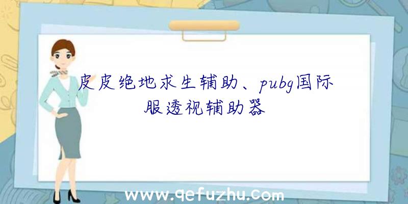 皮皮绝地求生辅助、pubg国际服透视辅助器