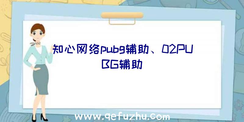 知心网络pubg辅助、02PUBG辅助